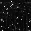  Unique Vintage Black Velvet Constellation Cape Gown